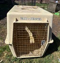 Dog cage 