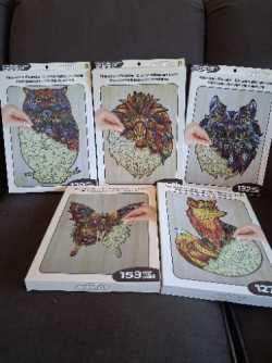 5 wooden puzzles