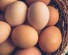 Farm Eggs