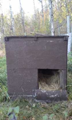 Insulated Dog House