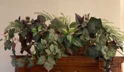 Silk plant 