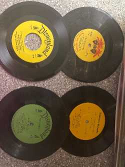 Disney land records
