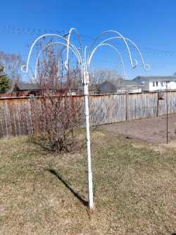 Plant hanger