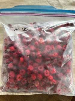 RASPBERRIES
