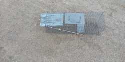 Live trap $20 as new 