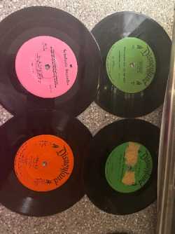Disney land records 